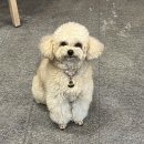 함지삼겹살