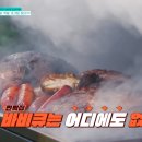 자자민박 이미지