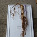 도마1리 이미지