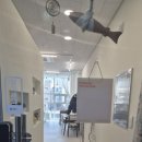 네일레브문 이미지