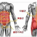 코어스터디