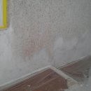 세영바이오 이미지