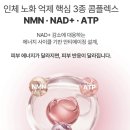 땀을 많이 흘리는 강사의 선크림 PICK!! 더 파이 선크림 후기