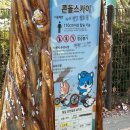 하늘 | [김해] 가야랜드 하늘자전거 후기 | 김해 벚꽃 명소 추천 | 하늘자전거 저렴하게 타는 꿀팁