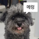 회룡샘 | 6월 일기