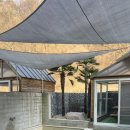 항사리91 이미지