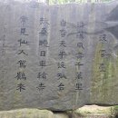몰운대 시비 이미지