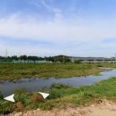 선유동체육시설 이미지