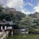 신현원창동, 회화나무 도서관 열람실 | 창경궁 후원 해설 관람 후기