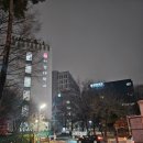 베로나의 두신사 | 231216 연극 베로나의 두 신사 후기( 김기분, 김수정, 김은희, 남승혜, 박정민, 박하진, 이화정, 정수영...