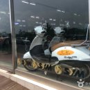 한라여행사 - 제주시 공항로 5 | 한라여행사