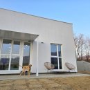 스테이 루비 이미지