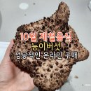 아람백숙 | 10월 제철음식 능이버섯 온라인 구매만족후기