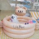 네오텔 | 부산 애견 미용 똑똑하게 고르는 개팡&amp;스파샤봉 체크리스트