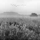 하모니-풍경 이미지