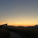 순천만습지 이미지