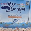 축제의 바다 | 2025 부산 송도 고등어축제, 해수욕장바다뷰 먹거리 후기