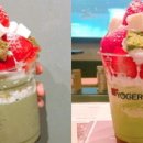 요거프레소 이미지