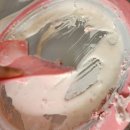 인천 4월 딸기농장체험 딸기의하루 아이와 함께 아이스크림 만들기 체험후기