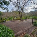 숲속쉼터 이미지