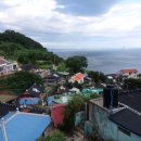 배가네민박 | 남해 멸치쌈밥은 해바라기 맛집에서~!