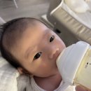 그로우짐 Grow Gym | [육아용품] 아기 젖병 사용후기 비교 (헤겐, 로열세브르, 더블하트, 모윰, 베베그로우)