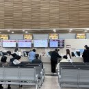 푸디스트(주)안산자생한방병원점 | 추간판탈출증으로 2주간 병가낸 일기... (자생한방병원 입원, 대학병원 응급실 후기)