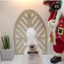 잇츠그루밍타임 이미지