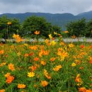 구례의길(남도이순신길) 이미지