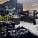 양평애견택시 | 경기 양평 논뷰와 인스타 감성 통창 대형카페, 주차가능한 [카페 피드] 내돈내산