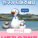 낙동강오리알 이미지
