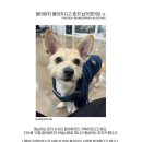 강남덴탈랩 이미지