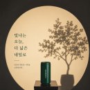 [내일배움캠프 사전캠] 스타벅스 탱크데이 캠페인 리디자인 과제 후기