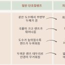 클리어뷰 이미지