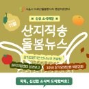 2024년 11월 뉴스레터