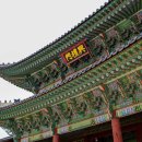 광화문 그 사내 티스토리