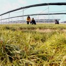 &#34;생태환경보호는 지속발전을 위한 중요사업&#34; [민주조선] 이미지