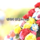 예닮기획 Daum카페