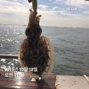 팀인천 루키나호 네이버블로그