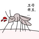 (주)에이비삼일팔 | 신논현 지방분해주사 제로컷 1회차! 내돈내산 후기