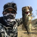 청도천3 이미지