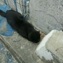 멋지개 예쁘개 이미지