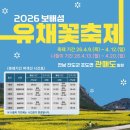 보배 어린이공원 | 제주도 유채꽃 제쳤다는 섬, 관매도 보배섬 유채꽃 축제 2026 완벽 정리
