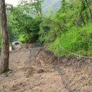 송이네농장 이미지