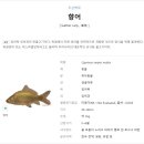 신흥양어장횟집 이미지