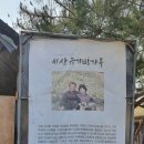 충남 서산 갈만한곳 유기방가옥 수선화 농원 봄꽃여행지