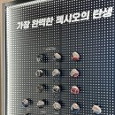 젝시오 신세계 팝업 TIME TO XXIO 골프채 신제품 체험 + 박인비 사인회