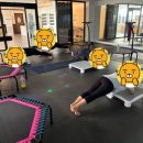 다온점핑다이어트 이미지