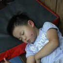 호림합기도(창동도장) 이미지