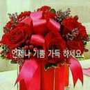 송이 이미지
